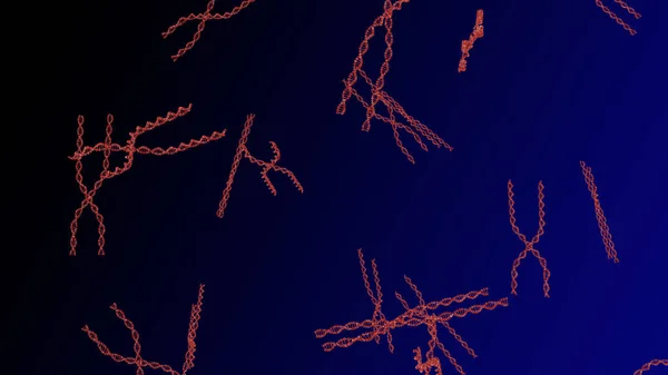 Cromosoma X. Renderizado 3D — Foto de Stock