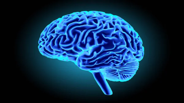 Renderização 3D do cérebro humano — Fotografia de Stock