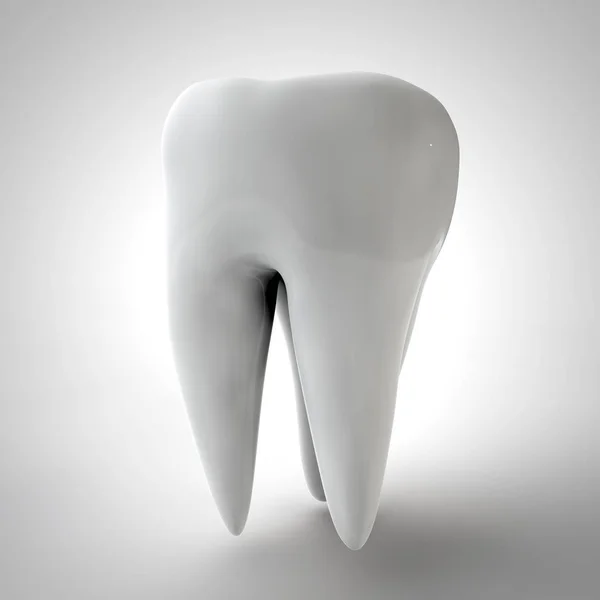 3d καθιστούν ανθρώπινο δόντι — Φωτογραφία Αρχείου