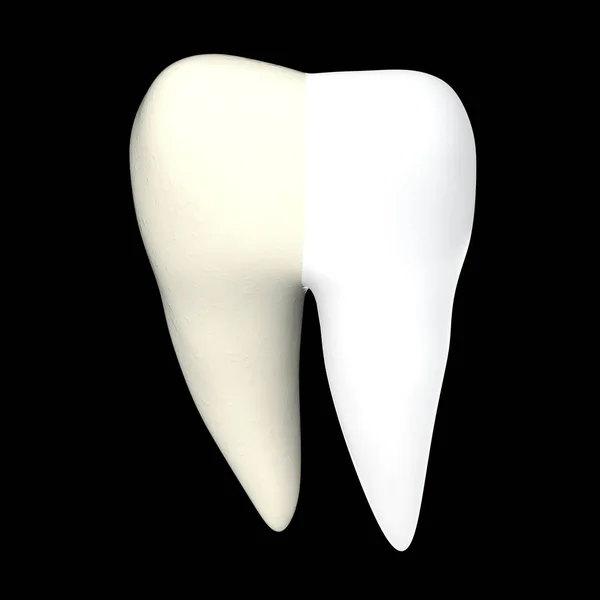 Dente umano 3D resa isolata — Foto Stock