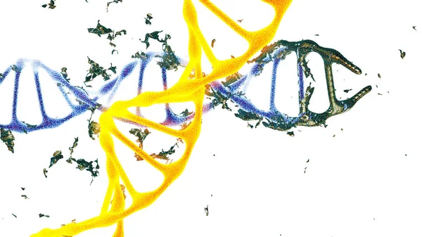 염색체입니다. 3d 렌더링 절연 — 스톡 사진