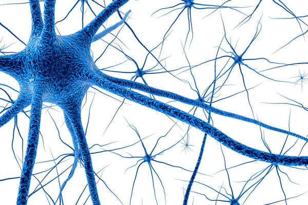 Brain cell. 3D render