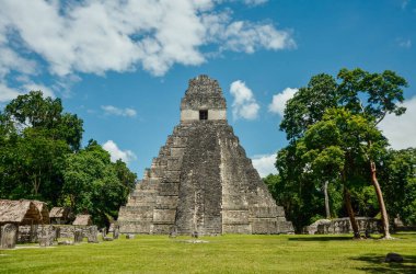 Piramit Tikal Guatemala. Tikal Arkeoloji Ulusal Parkı. Ağaçlar, taşlar.