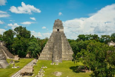 Piramit Tikal Guatemala. Tikal Arkeoloji Ulusal Parkı. Ağaçlar, taşlar.