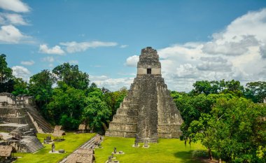 Piramit Tikal Guatemala. Tikal Arkeoloji Ulusal Parkı. Ağaçlar, taşlar.