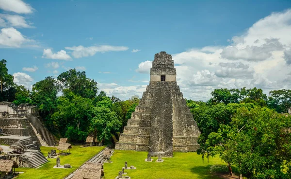 Piramit Tikal Guatemala. Tikal Arkeoloji Ulusal Parkı. Ağaçlar, taşlar.