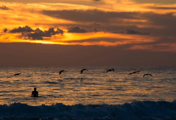 Sunset Beach Human Birds Silhouette — Stock Photo, Image