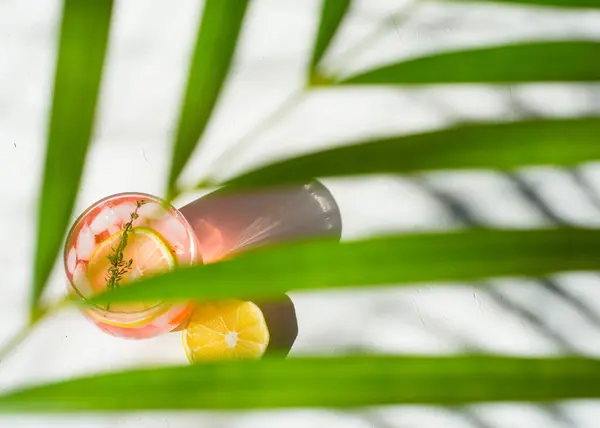 Taze limonata Suyu; yapraklar palmiye ağaçları