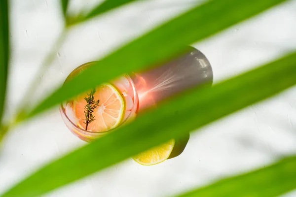 Fresh Sweet Lemonade Water Leaves Palm Trees — Stock Photo, Image