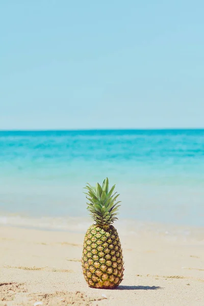 Ananas Het Strand — Stockfoto