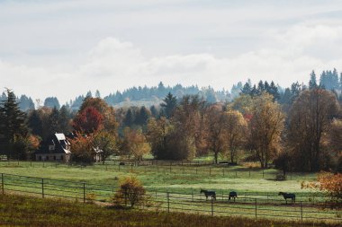 Güzel sonbahar manzarası. Çiftlikte sonbahar. Çiftlik evi. 