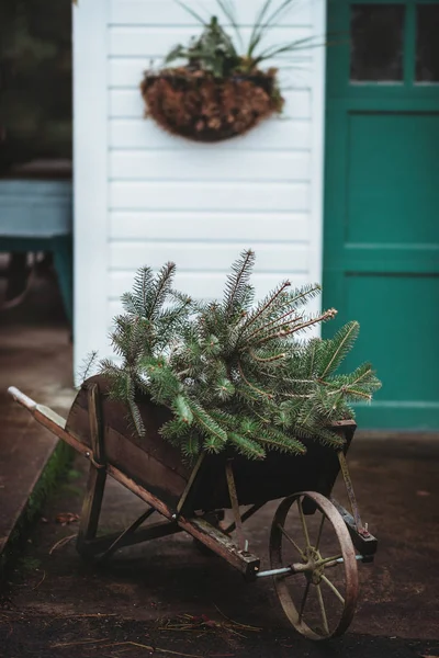 トロリーの上に小さなトウヒ クリスマスのために外の家を飾る クリスマスガーデンの装飾 ヴィンテージガーデンの詳細 常緑樹 — ストック写真
