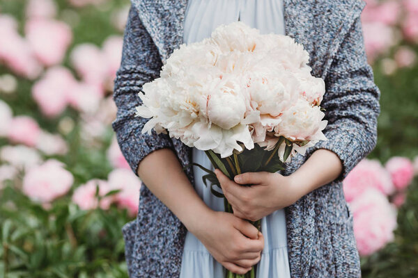 Huge Peony Close Flowers Pink Peonies Peonies Close Beautiful Peony Stock Photo