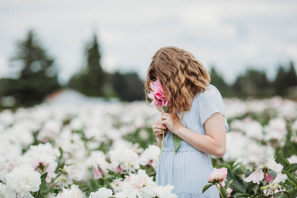 Huge Peony Close Flowers Pink Peonies Peonies Close Beautiful Peony Stock Image