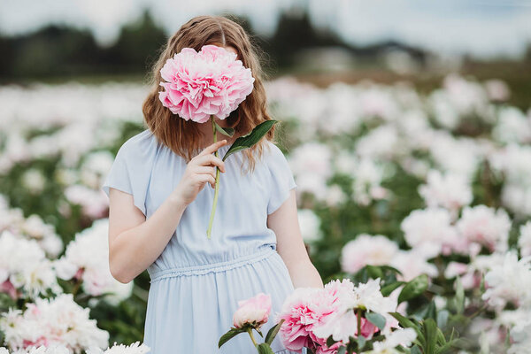 Huge Peony Close Flowers Pink Peonies Peonies Close Beautiful Peony Stock Photo