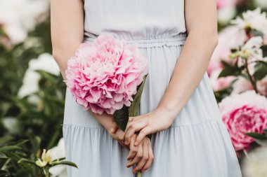 Kocaman bir şakayık. Çiçeklerin yakın plan pembe şakayıklar. Şakayıklar yakın plan. Katalog ya da internet mağazası için güzel şakayık çiçekleri. Çiçek dükkanı konsepti. Yüzeyin derinliği. Pembe şakayık çiçek tarlası. Kız ve şakayıklar.