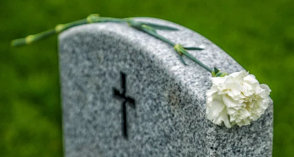 Rose blanche sur une pierre tombale d'anciens combattants Photos De Stock Libres De Droits