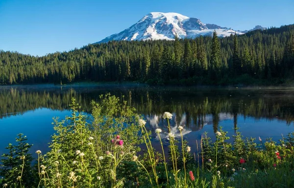 Mt. Rainier Reflection lake — Stock Photo, Image