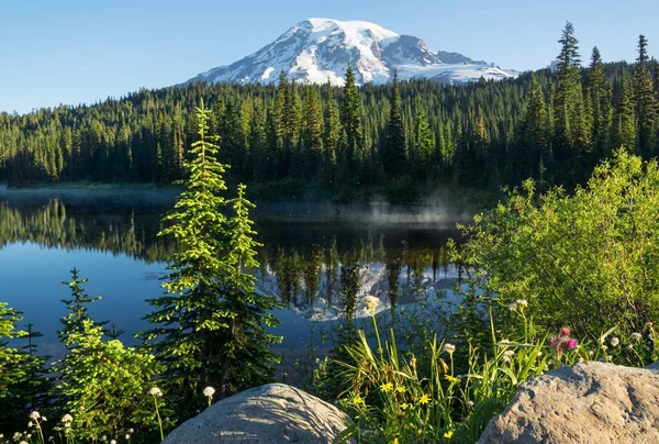 Mt. Rainier lago Reflexão — Fotografia de Stock