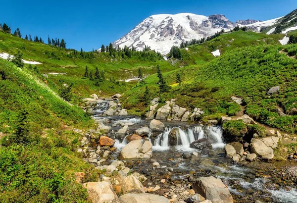 Edith Bach, mt. Ranier — Stockfoto