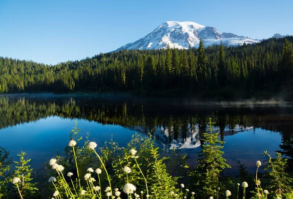 MT. Rainier speglar sjö Stockbild