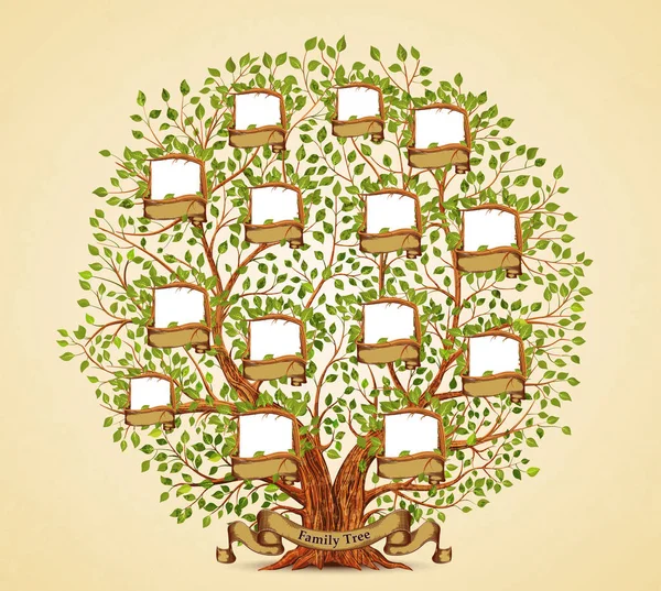 Family Tree template vintage vector illustration — Stock Illustration Family Tree template vintage vector illustration Royalty Free Stock Illustrations