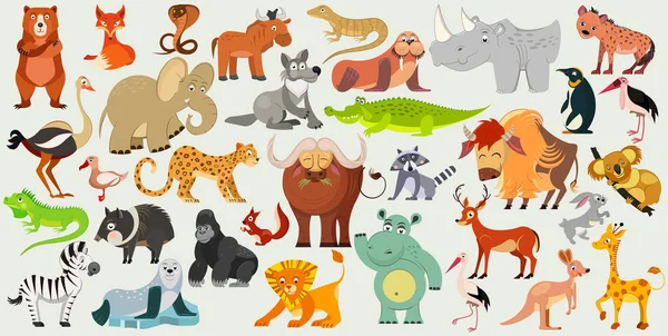 Conjunto Animales Divertidos Aves Reptiles Todo Mundo Fauna Mundial Ilustración — Vector de stock