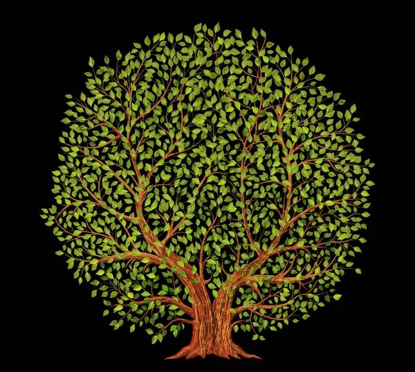 Old Tree Black Background Vector Illustration — Stok Vektör