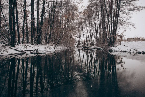 Зимовий Різдвяний Пейзаж Сірих Тонах Спокійною Зимою Оточений Деревами — стокове фото