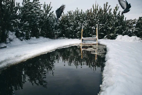 Etrafı karla çevrili kara bir buz deliği. Sarı bir merdiven suya iniyor. Güvercinler sudan yükselir..