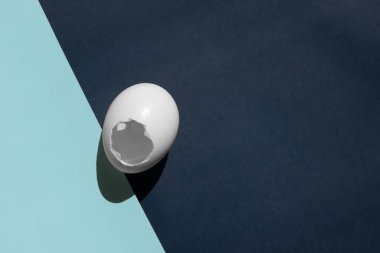 Paskalya bitti. Yumurtanın beyaz kabuğu iki rengin geçişinde yatar. Kabuğun yüzeyi güneşte parlıyor..