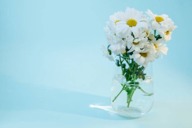 Şeffaf cam bir vazoda duran bir buket beyaz papatya..
