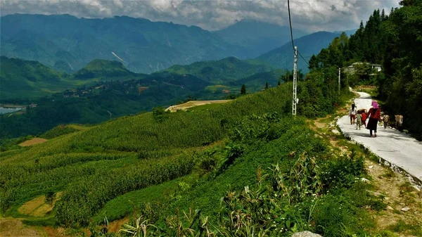 Vietnam Landschap Bergrijstvelden — Stockfoto