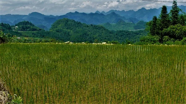 Kuzey Vietnam manzarası, dağlar, pirinç tarlaları.. 
