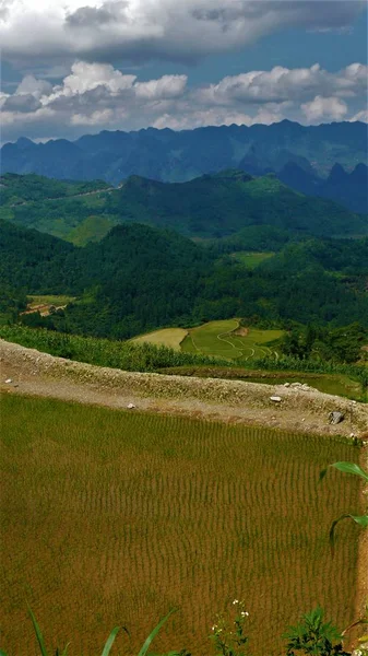 Krajina Severního Vietnamu Hory Rýžová Pole — Stock fotografie