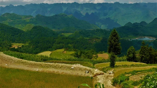 Kuzey Vietnam Manzarası Dağlar Pirinç Tarlaları — Stok fotoğraf
