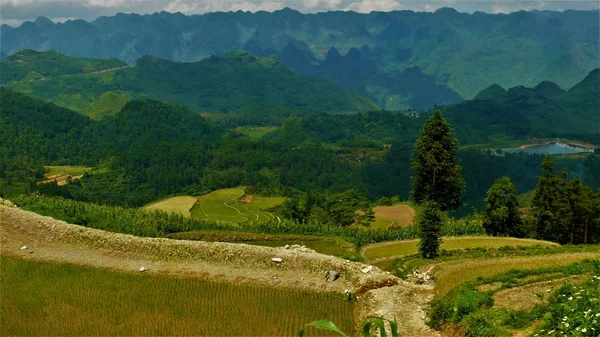 Kuzey Vietnam manzarası, dağlar, pirinç tarlaları.. 