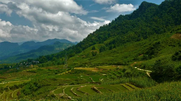 北ベトナムの風景 田んぼ — ストック写真