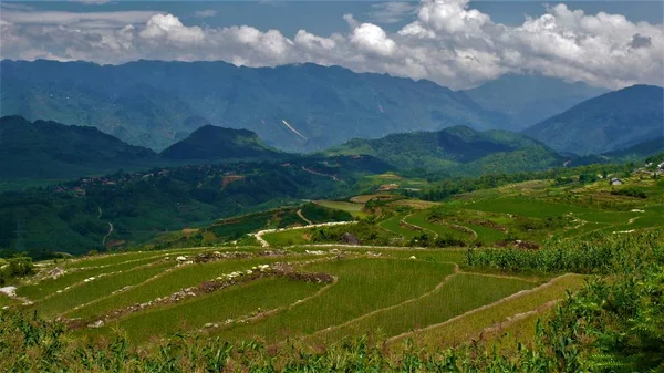 Kuzey Vietnam manzarası, dağlar, pirinç tarlaları.. 