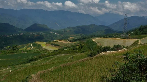 Krajina Severního Vietnamu Hory Rýžová Pole — Stock fotografie