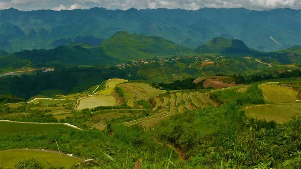 Paisaje Vietnam Del Norte Montañas Campos Arroz —  Fotos de Stock