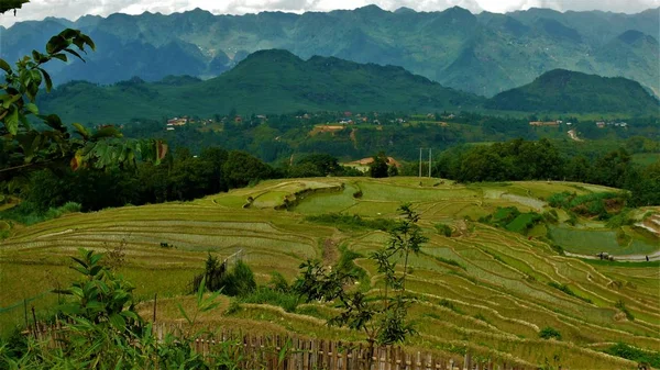 Kuzey Vietnam manzarası, dağlar, pirinç tarlaları.. 