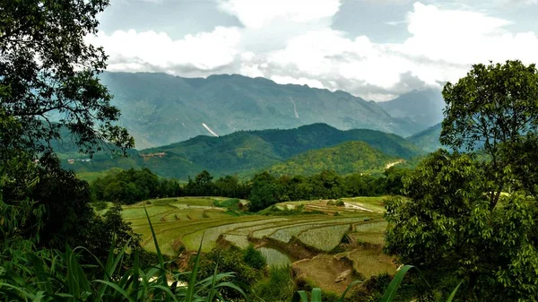 Kuzey Vietnam manzarası, dağlar, pirinç tarlaları.. 