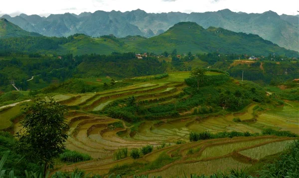 Landschap Van Noord Vietnam Bergen Rijstvelden — Stockfoto