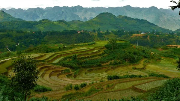 Kuzey Vietnam manzarası, dağlar, pirinç tarlaları.. 