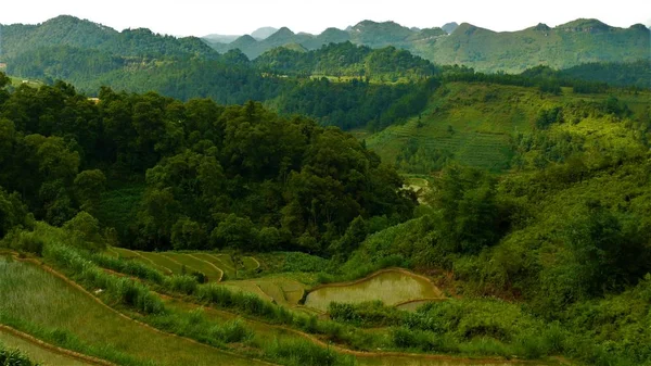 Kuzey Vietnam manzarası, dağlar, pirinç tarlaları.. 