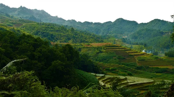 Paesaggio Del Vietnam Del Nord Montagne Campi Riso — Foto Stock