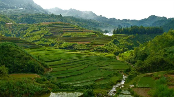 Kuzey Vietnam manzarası, dağlar, pirinç tarlaları.. 