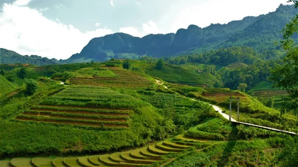 Landscape North Vietnam Mountains Rice Fields — Stock Photo, Image