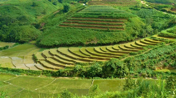 Kuzey Vietnam manzarası, dağlar, pirinç tarlaları.. 